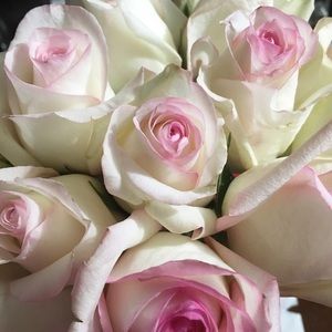 Meet your Posher, Jing